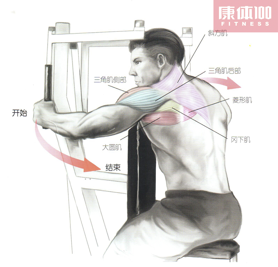 肌肉训练健身图解:三角肌肩部力量肌肉训练动作解析